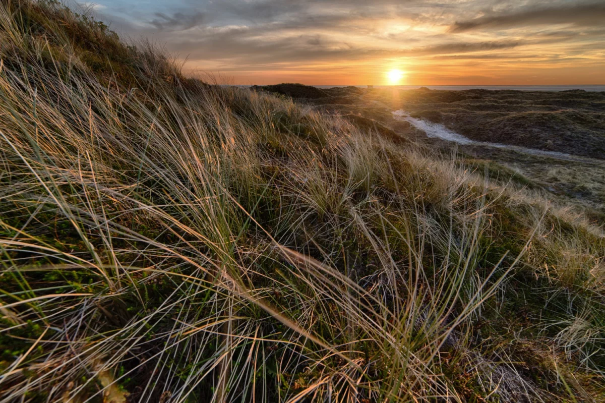 Kompleksowe porównanie usług OKIR i MOHU: zakres, koszty i korzyści dla gmin — jak wybrać najlepszą ofertę dla lokalnej społeczności