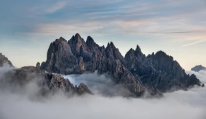 Program dla sprzedaży